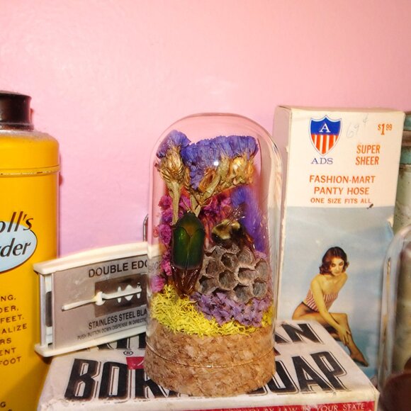 June Bug Carpenter Bee & Wasp Nest Oddity Jar taxidermy curiosity goth witchy - Picture 11 of 12